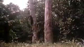 Crazy parody tarzan part 3