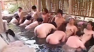 Old Amateurs in Forest Therapy 2